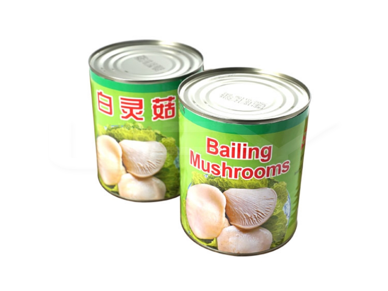 Bailing Mushroom New Sun 